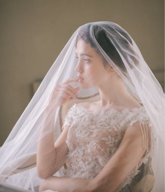 Photo of model wearing a bridal veil - desktop image